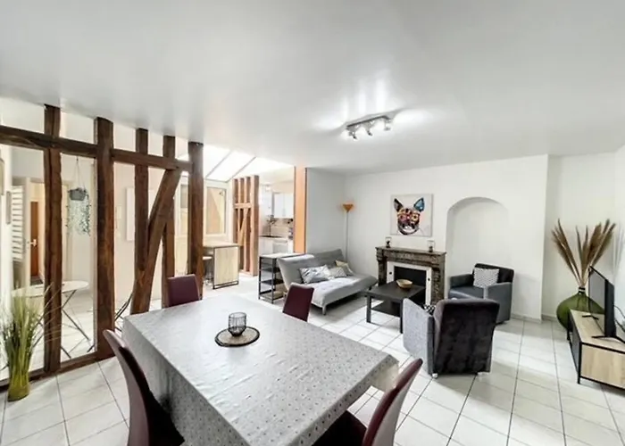 Appartement Au Coeur De Troyes
