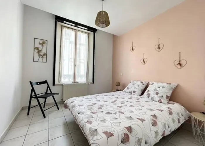 Appartement Au Coeur De Troyes